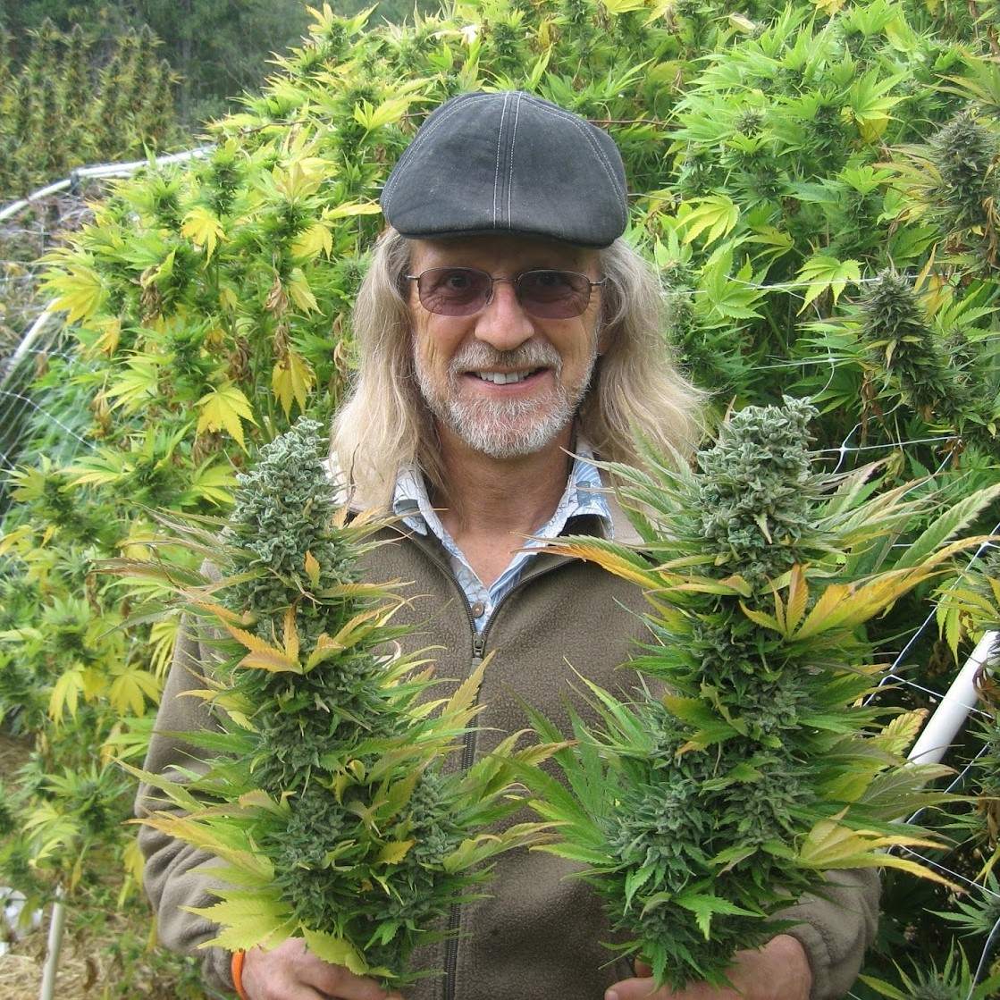 Jorge Cervantes in a cannabis field.