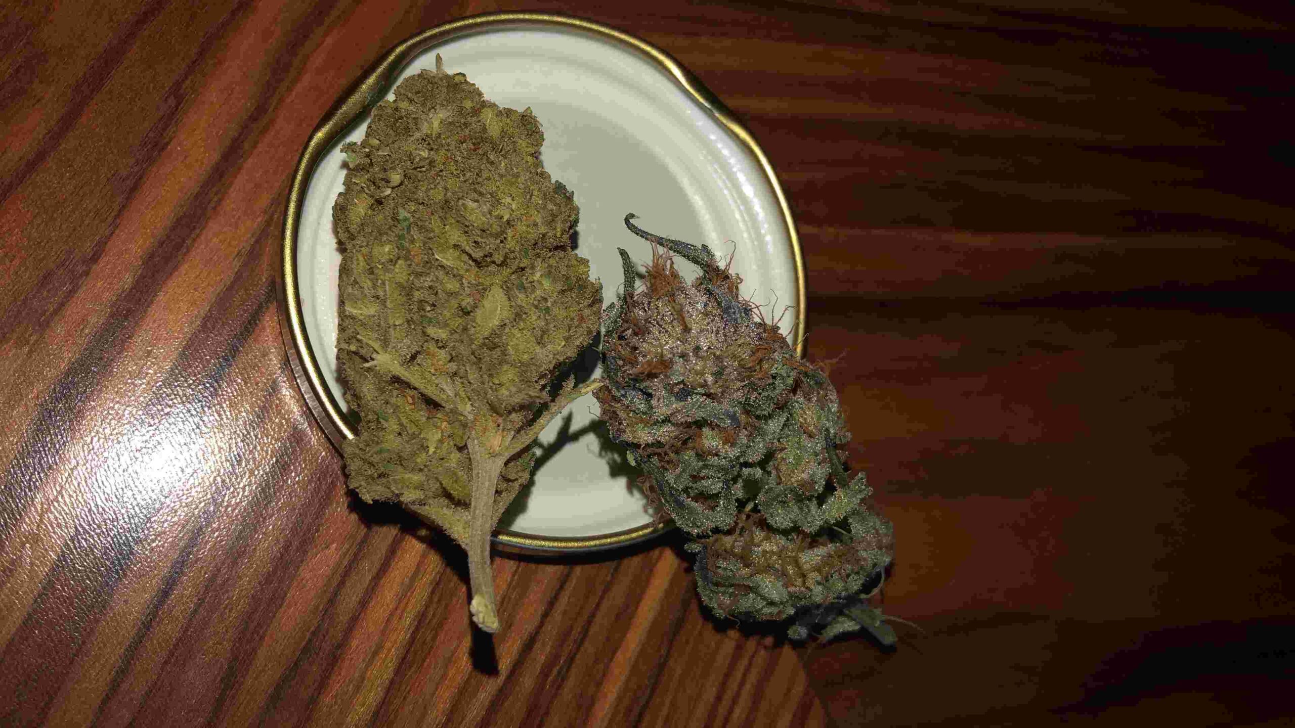 Storing dried cannabis buds.